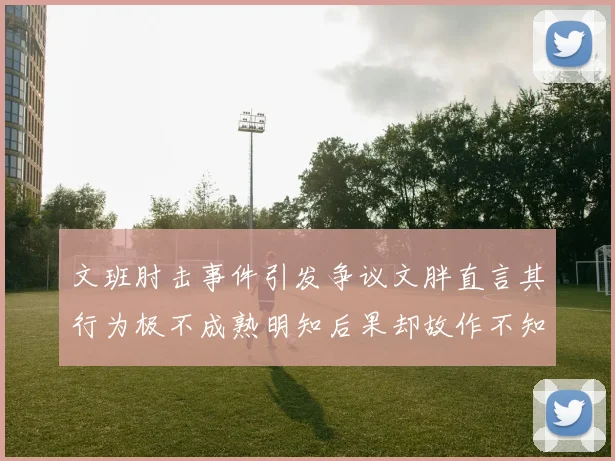 文班肘击事件引发争议文胖直言其行为极不成熟明知后果却故作不知